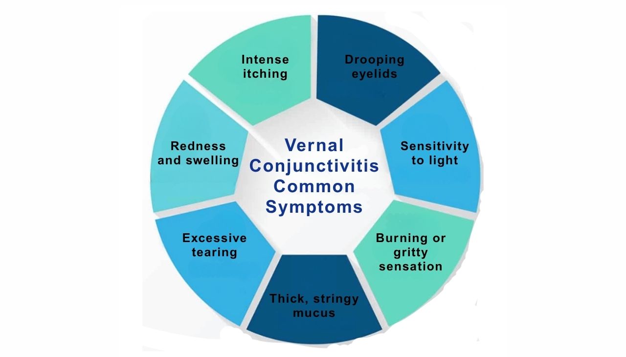 Learn Common Symptoms of Vernal conjunctivitis at laxmi eye Hospitals