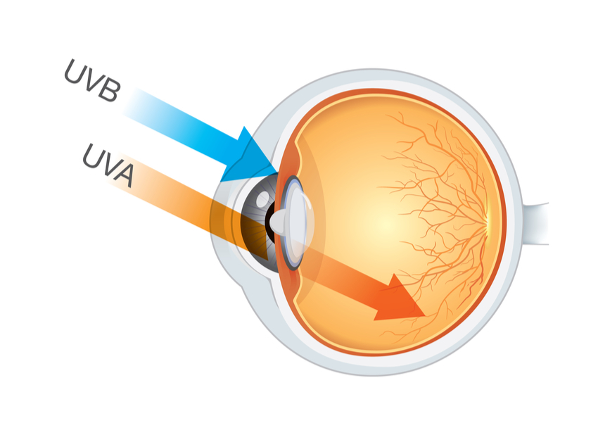 What Are UV Rays and How Do They Affect Your Eyes?