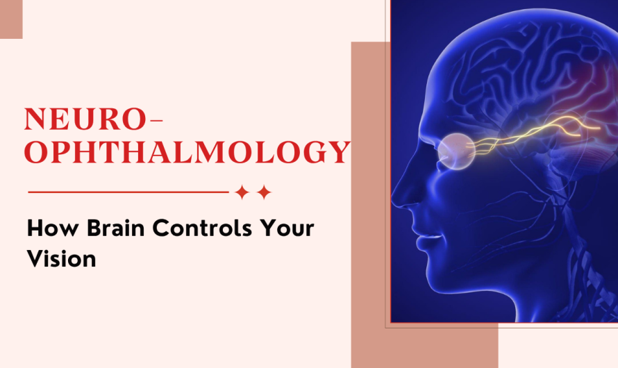 Neuro-Ophthalmology Explained: How Brain Controls Your Vision