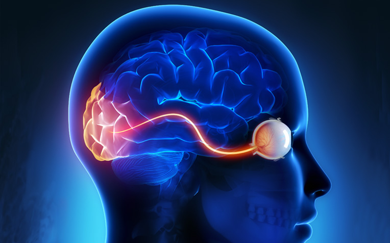 What is Neuro-Ophthalmology